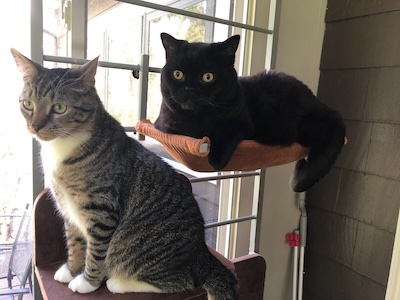 The Weekend Publisher & Assistant Weekend Publisher are mildly alarmed.