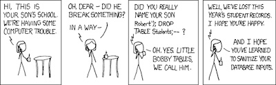 XKCD 327: 'Little Bobby Tables'