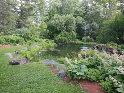 Berkshire Botanical Garden: calming pond