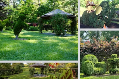 Berkshire Botanical Garden: topiary madness