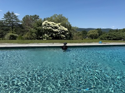 A pool containing a Weekend Editor, thoroughly swaddled against sun