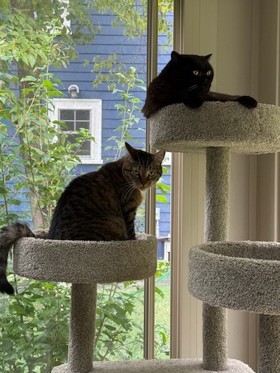 The Weekend Publisher and the Assistant Weekend Publisher, in their customary box seats