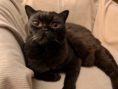 The Weekend Publisher disapproves.