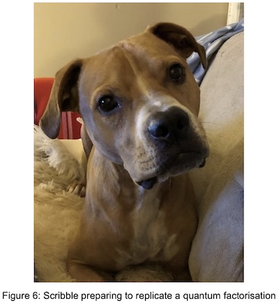 Gutmann & Neuhaus @ Crypto ePrint Archive: Scribble, the 'recently-calibrated reference dog' used in this experiment