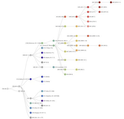 WI Lab Hygiene: SARS-CoV2 phylogenetic tree