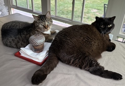 The Weekend Publisher and Assistant Weekend Publisher are not any more than momentarily distracted