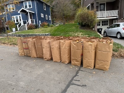 40 lawn refuse bags of 30 gallons each, filled with 40 gallons each of leaves, making for a total of 60 bags so far this season – halfway!