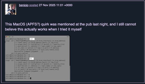 Benjojo @ Mastodon: MacOS recognizes 'ßh' as 'ssh' Benjojo @ Mastodon: MacOS recognizes 'ßh' as 'ssh'