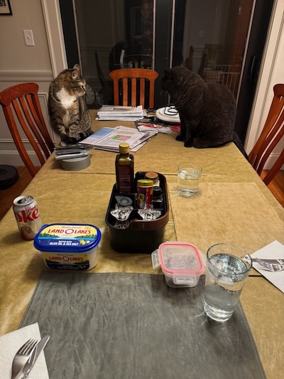 The Weekend Publisher and Assistant confer, consult, and otherwise hobnob at the dinner table