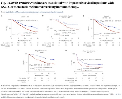 Grippin, et al. @ Nature: Improved survival in various cancers with ICI + mRNA vax vs just ICI