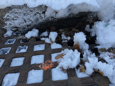 Frost flowers growing from a grating over a storm drain in front of Ch&acirc;teau Weekend