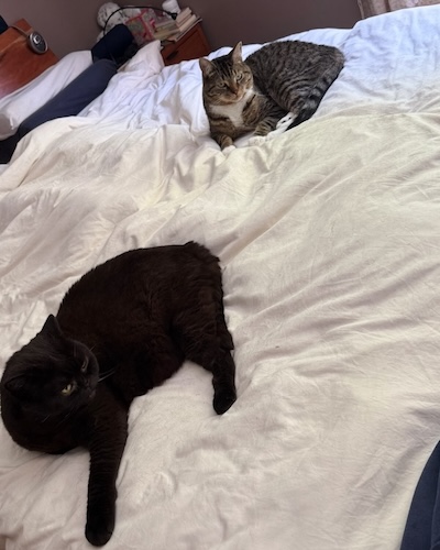 The Weekend Publisher and the Assistant Weekend Publisher are nonplussed