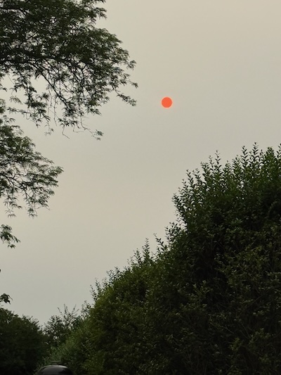 Sun in a Boston suburb in late afternoon, looking like Darkover