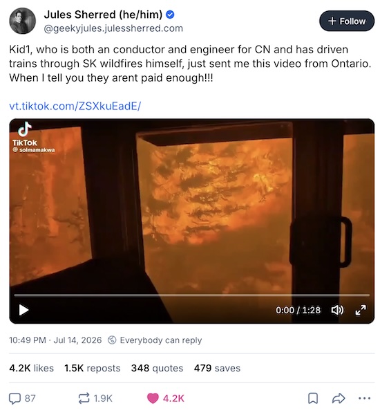 View from a train in Ontario, driving THROUGH the wildfires, with trees burning at close range