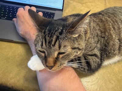 The Assistant Weekend Publisher reminds us that there are better priorities to which we need attend, like loving cats