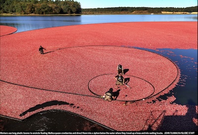 Tlumacki @ Globe: Booms to push Mullica Queens into a siphon