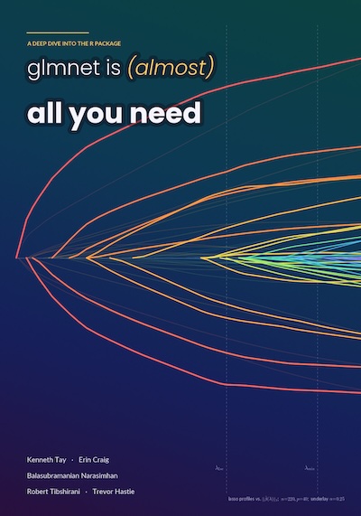 glmnet is (almost) all you need, by Hastie, Tibshirani, and associates